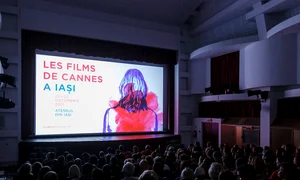 Cronica unui cinematograf anunţat jpeg
