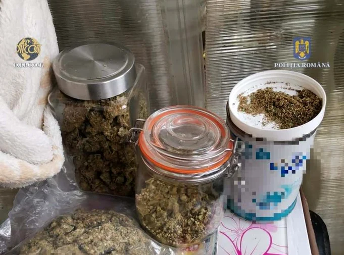 Droguri descoperite de polițiști în Timiș FOTO Poliția Română