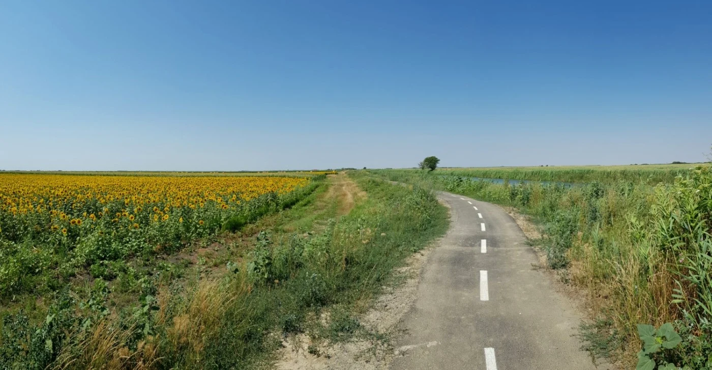 Cum arată pista de biciclete Timişoara-Zrenjanin pe partea sârbească FOTO Bartha Csaba