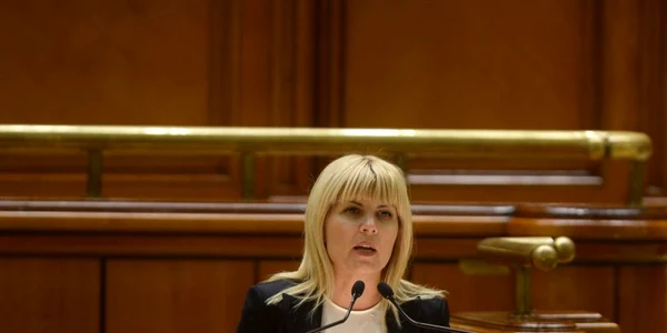 Elena Udrea vot Camera Deputatilor arestare FOTO Mediafax