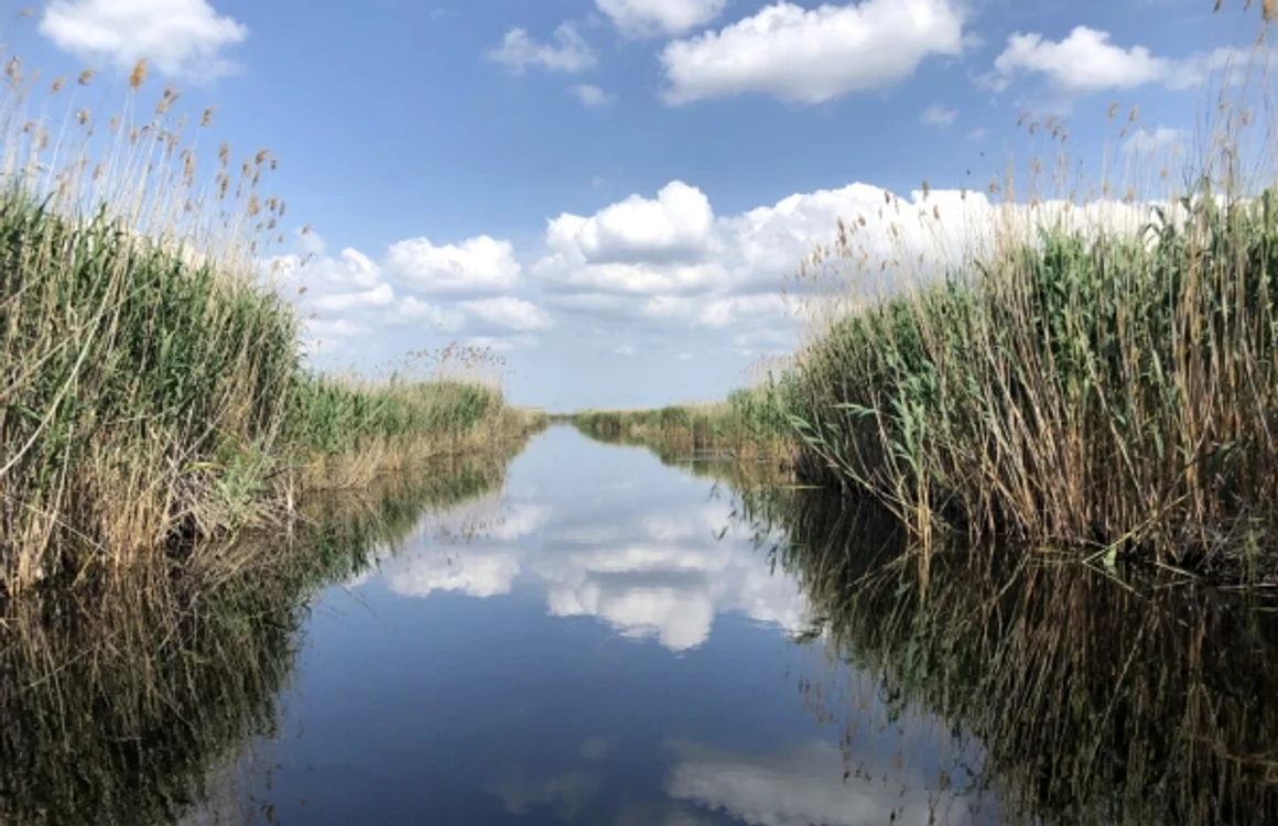 Delta Dunnării FOTO Catalin Ţibuleac