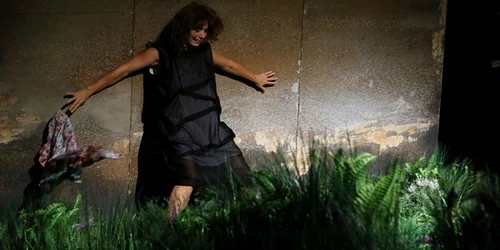 conversatie dupa inmormantare bulandra