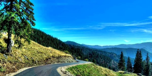 Transrarăul - una dintre cele mai spectaculoase şosele din ţară. FOTO www.transraraul.ro