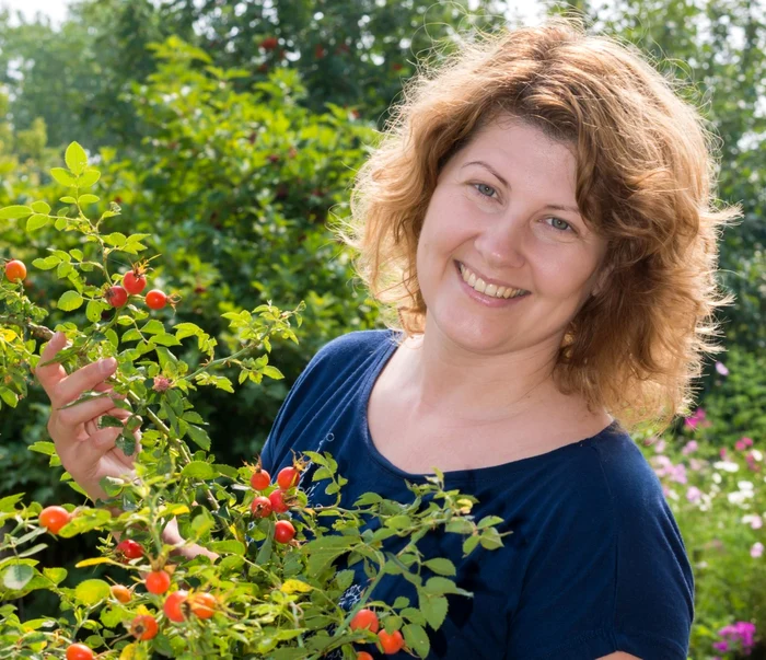 Fiind o sursă de vitamina C, măceşele întăresc organismul şi-l pregătesc de luptă împotriva virozelor