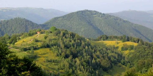 Ţinutul Pădurenilor. Drumul spre Vadu Dobrii. FOTO