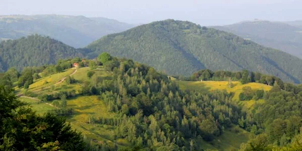 Ţinutul Pădurenilor. Drumul spre Vadu Dobrii. FOTO