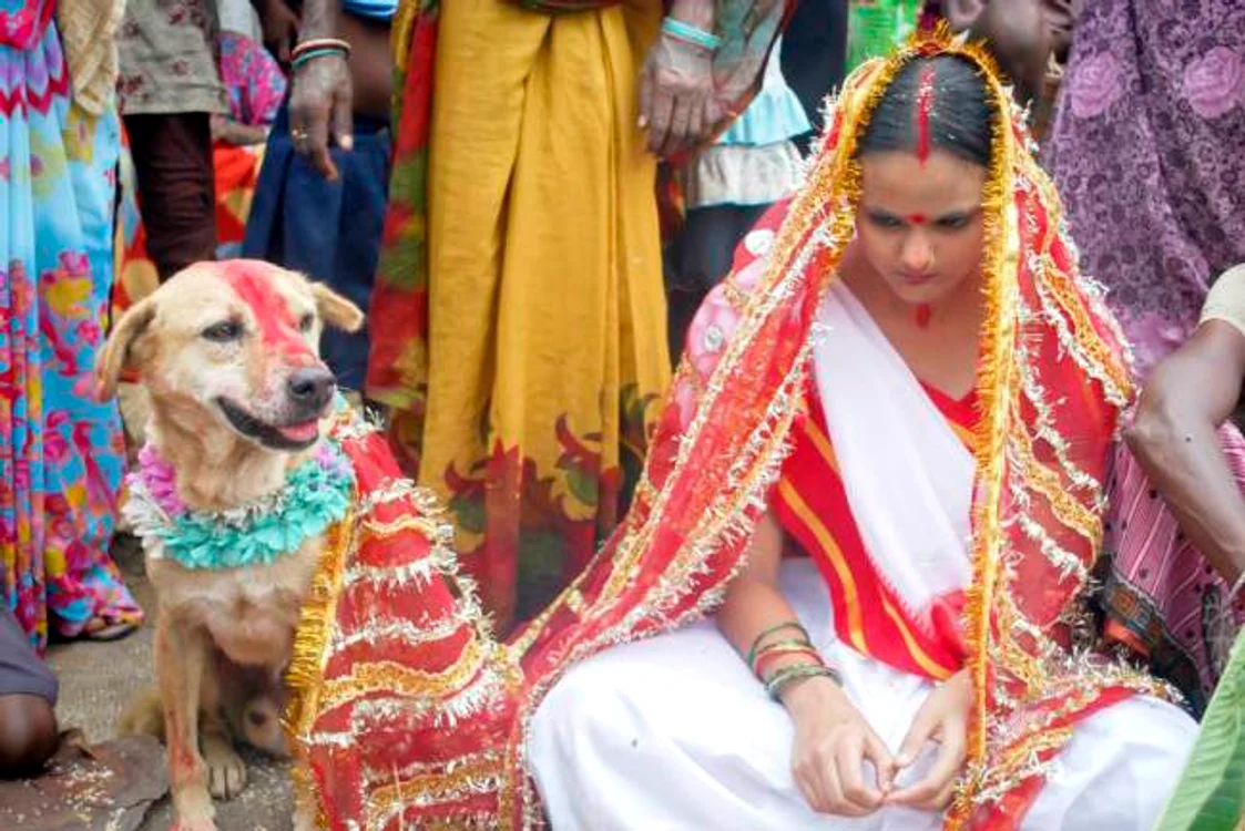 
    Mangli şi câinele au fost căsătoriţi în cadrul unui ritual hindus  