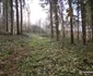 Cripta familiei Lazar din Lăpușnic Foto Daniel Guță  ADEVĂRUL (3) jpg