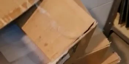 6255ab9b5163ec42714e6516 jpg