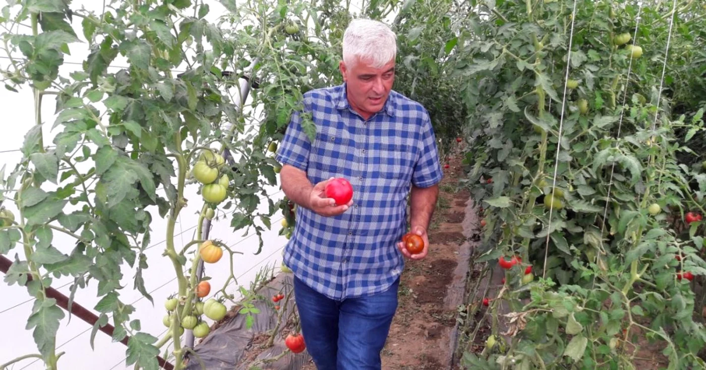 Consultantul Ion Păunel spune că micii fermieri întreabă ce au de făcut FOTO arhiva Adevărul
