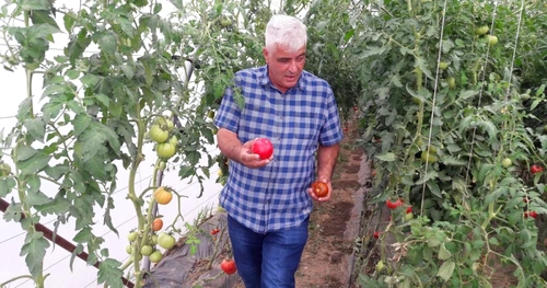 Consultantul Ion Păunel spune că micii fermieri întreabă ce au de făcut FOTO arhiva Adevărul