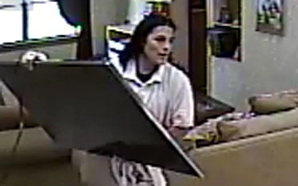 
    Musafirul nepoftit nu fugea cu televizoarele ci le mânca proprietarilor tot ce găsea prin frigidereFoto Captură Youtube  