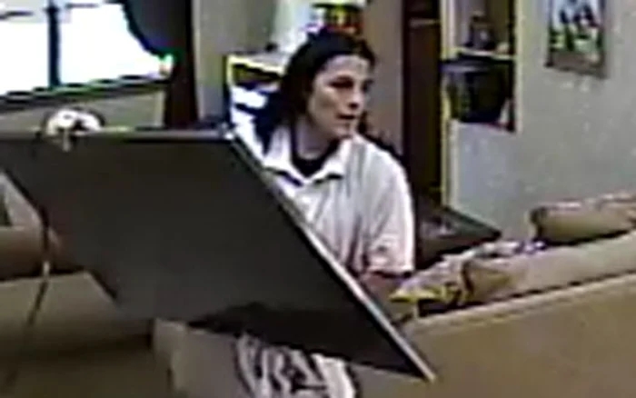 
    Musafirul nepoftit nu fugea cu televizoarele ci le mânca proprietarilor tot ce găsea prin frigidereFoto Captură Youtube  