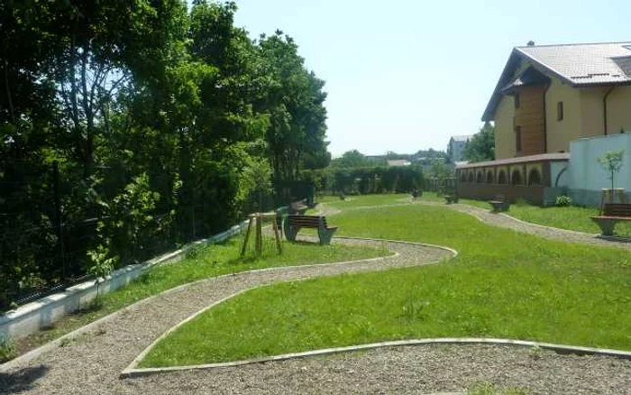 Parcul pentru câini este amplasat în cel mai mare parc al municipiului Botoşani FOTO Cosmin Zamfirache