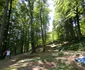 Sarmizegetusa Regia Foto Daniel Guță ADEVĂRUL (50) jpg