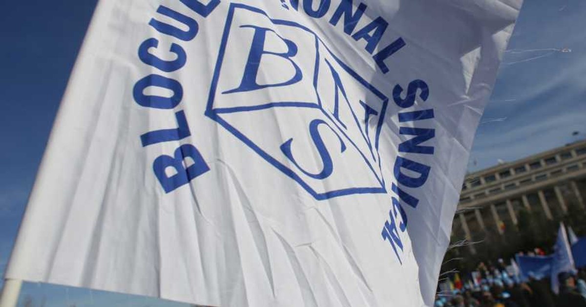 BNS cere revizuirea Constituției și referendum după starea de alertă din energie
