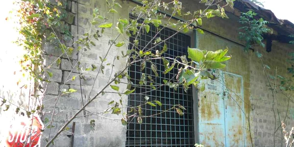Cladirea ar fi trebuit sa devina un centru pentru copiii orfani