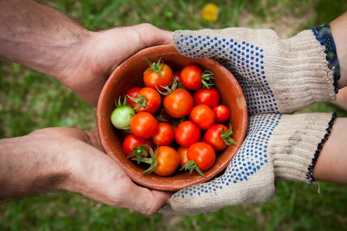 
    Sursa foto: unsplash.com   