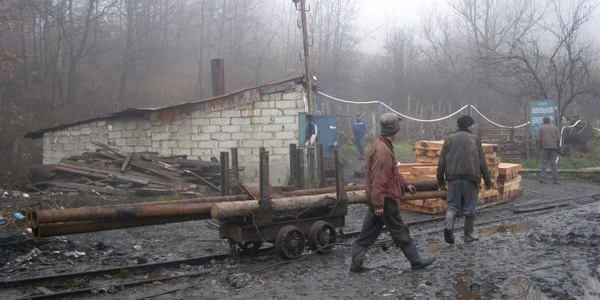 Cei doi sunt cercetaţi pentru săvârşirea infracţiunii de furt calificat 