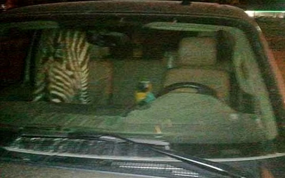 
    Bărbatul transporta o zebră şi un papagal  