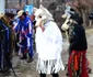 cetea alba fasangi