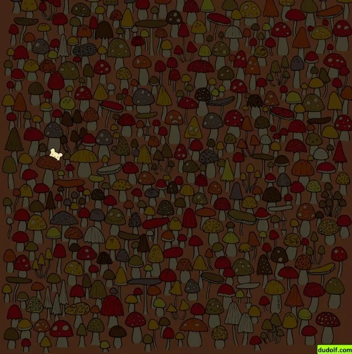 Rezolvarea provocării / foto: Dudolf