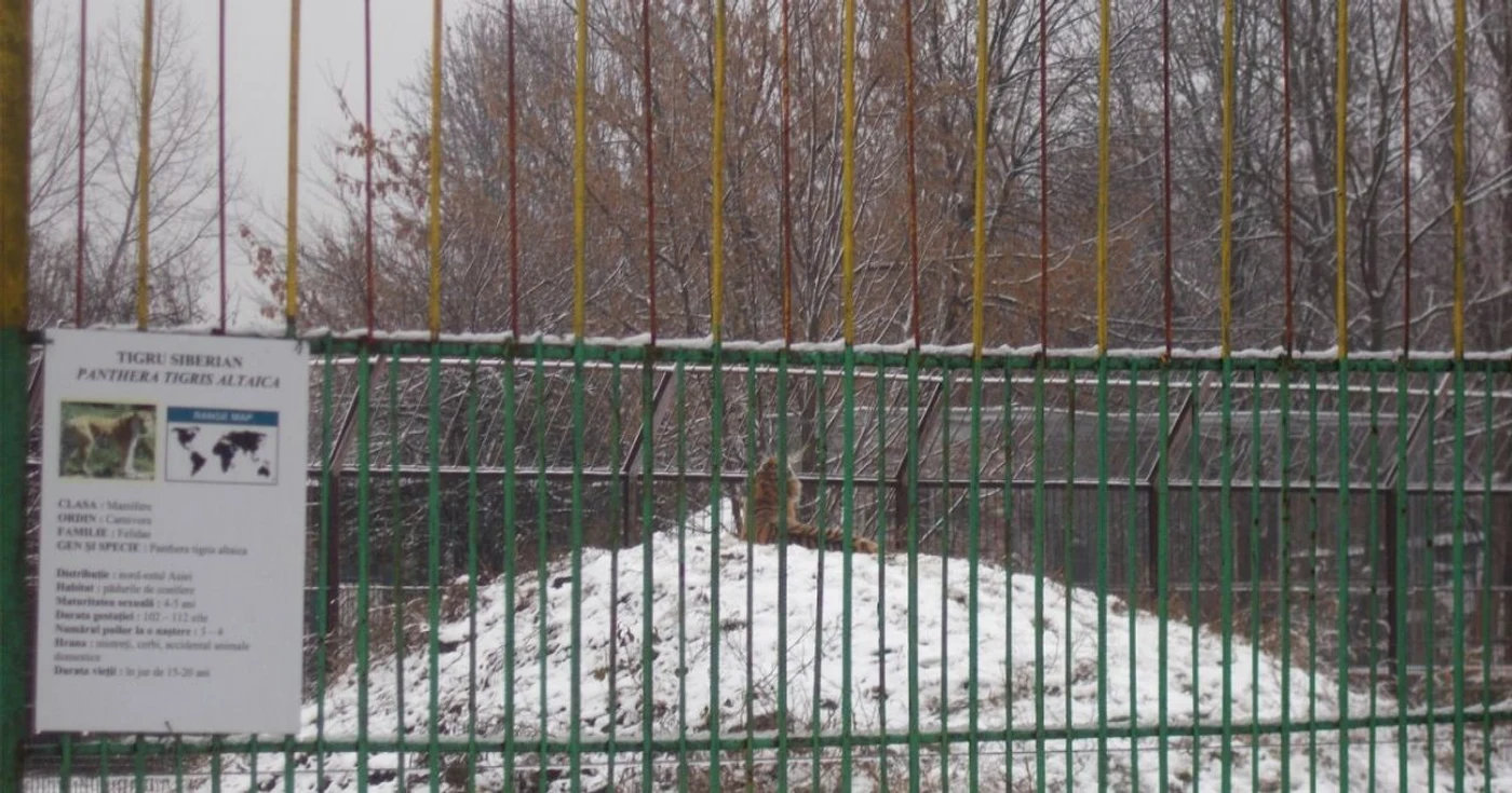 calarasi zoo
