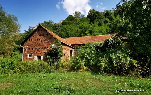 Valea Geoagiului Foto Daniel Guță ADEVĂRUL (39) JPG