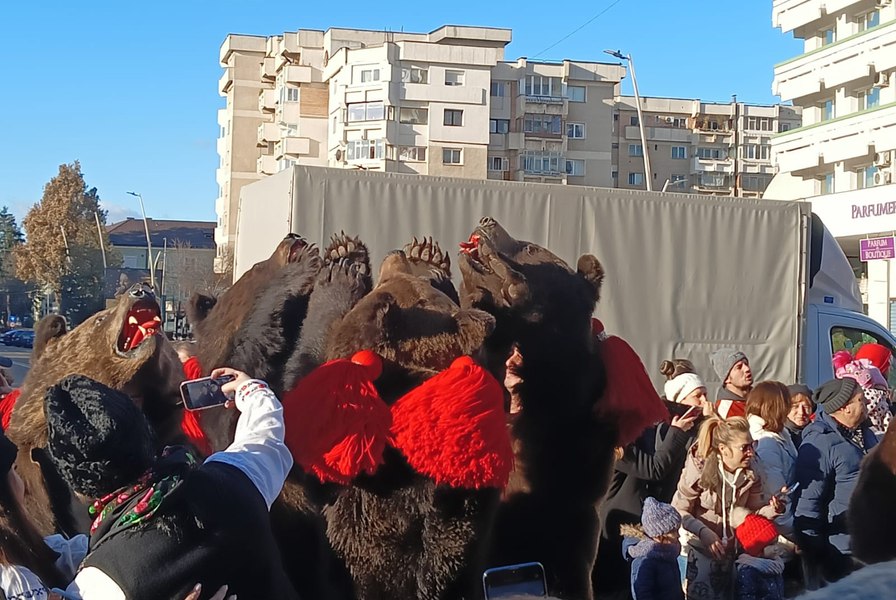 Dansul cu urșii de la Bacău a ajuns vedetă în presa internațională: „O tradiție de milenii” FOTO