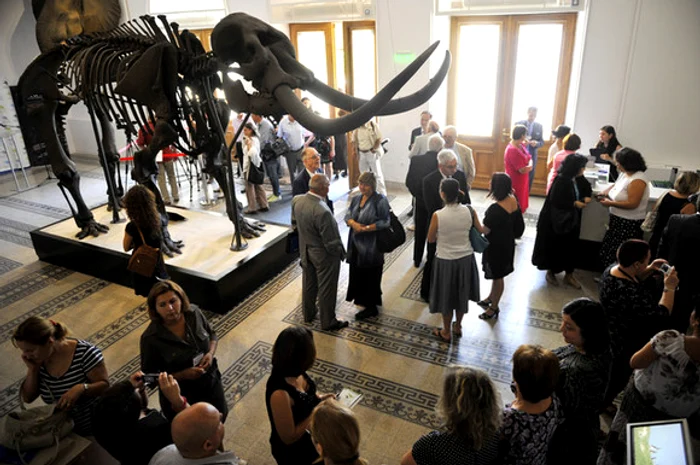 După 15 mai, aglomerația nu va mai fi permisă în muzee, dar nici în alte spații publice închise