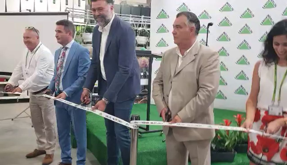 Leroy Merlin a deschis magazin în Arad. Francezii: „Am descoperit orașul și ne-am mutat aici. Vrem să fim utili“ FOTO VIDEO 