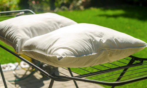 shutterstock 2499288353 jpg