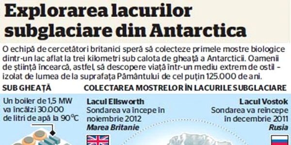 infografie