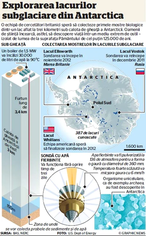 infografie