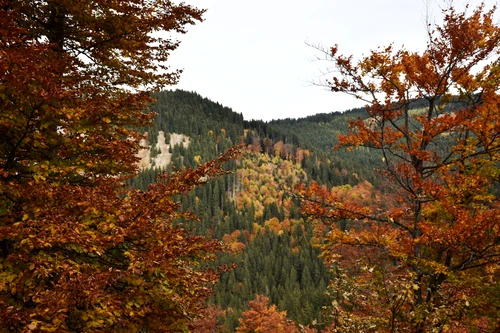 Parcul Natural Bucegi. FOTO Facebook