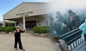 banner marina almasan irina fodor png