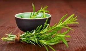 rozmarin impenetrabil ro  0 jpeg