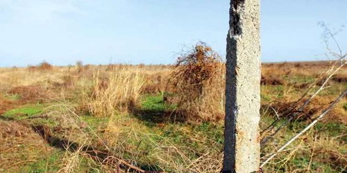 Ferma de la Nazarcea Foto Arhivă Adevărul