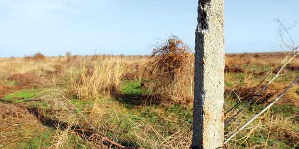 Ferma de la Nazarcea Foto Arhivă Adevărul