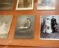 colectii bistrita 5