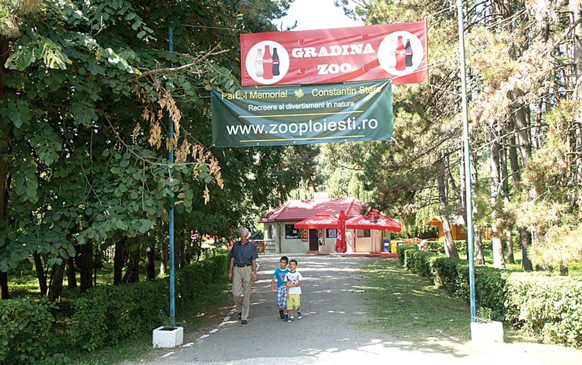 Speedy a fost sfâşiat de maidanezi