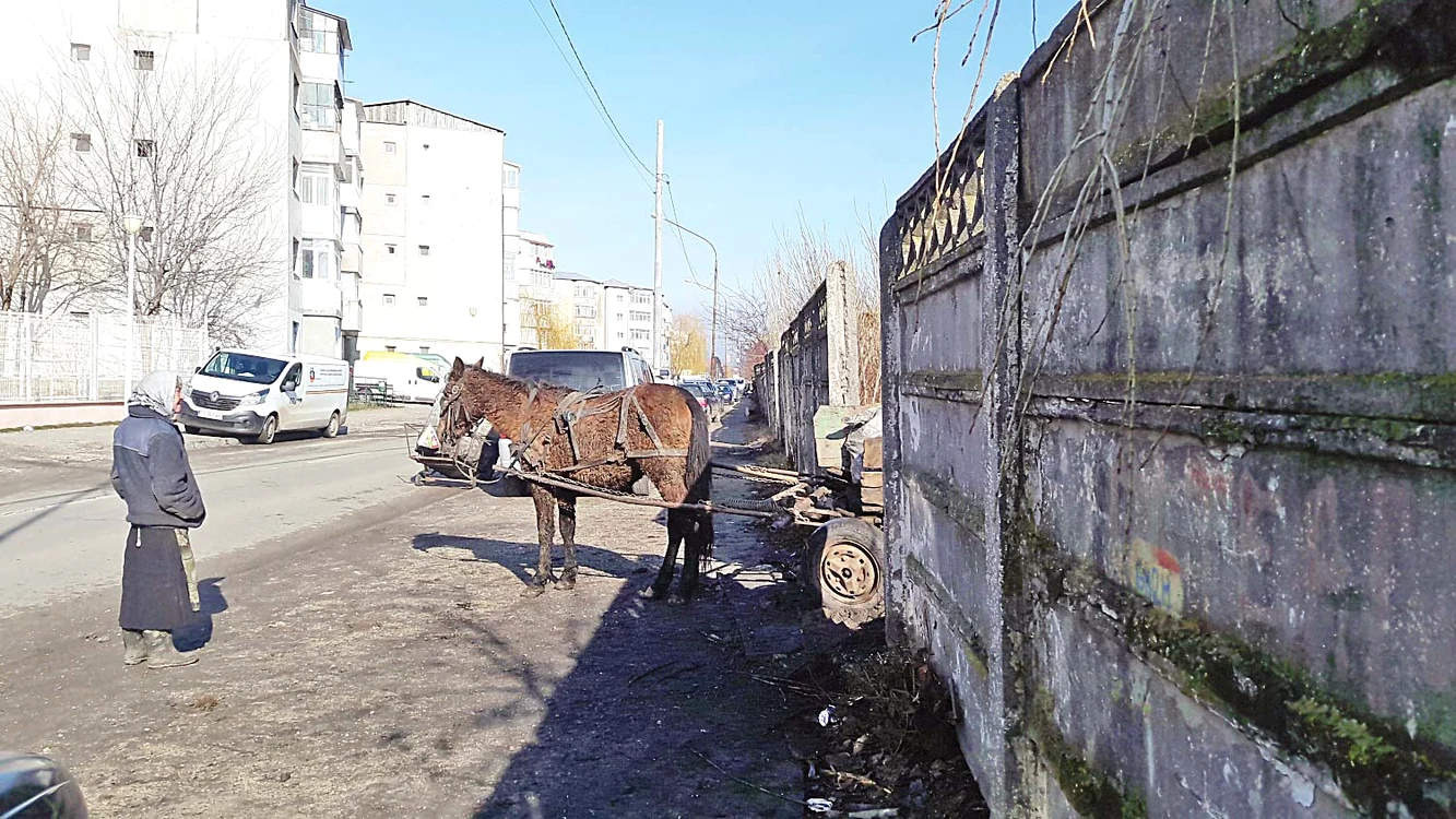 Căruţele cu cocs  metalurgic iau drumul  comunei Valea Mare