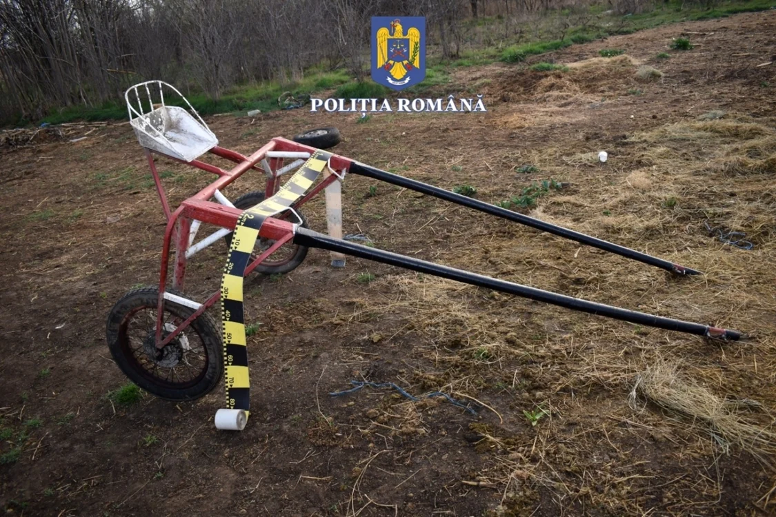 Bărbaţii se întreceau pe bani, bănuiesc anchetatorii FOTO: IPJ Olt
