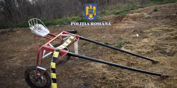 curse ilegale cu atelaje hipo în olt