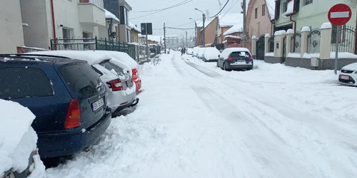 WhatsApp Image 2023 02 04 at 19 00 45 jpeg