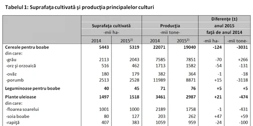 productia vegetala 2015