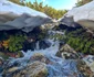 retezat poiana pelegii lacul bucura foto marius turc