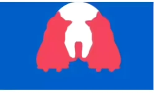 iluzie optica caine pisica jpg