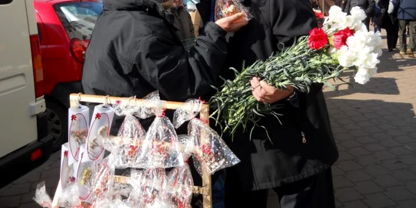 ion lungu flori suceava 