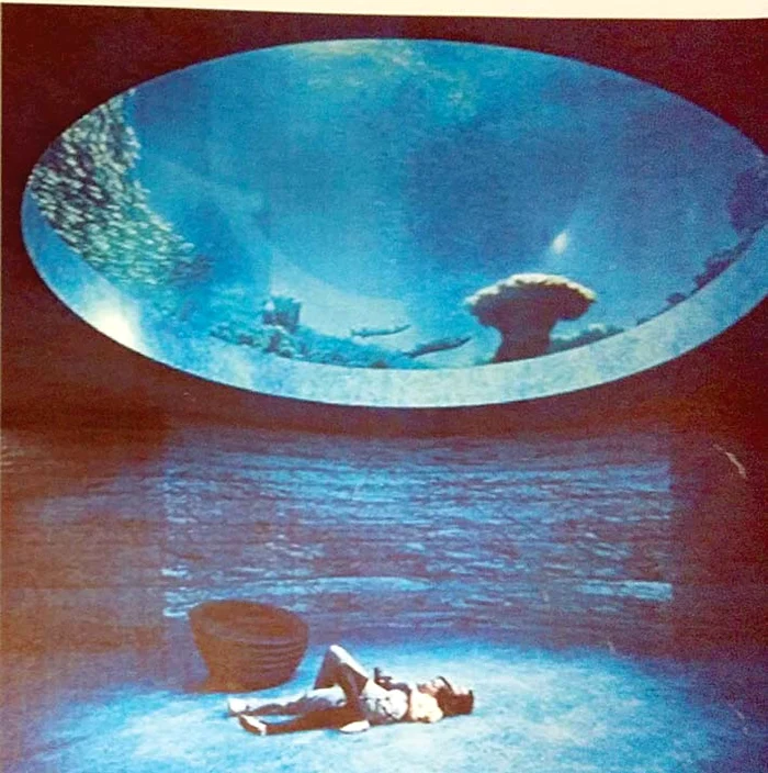 Vizitatorii vor putea observa peştii înotând deasupra lor